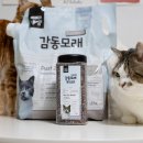 레오개발(주) | 고양이 모래 탈취제 천연성분 냥쌤 감동모래 부스터 오도제로 내돈내산 후기