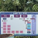 솔밭펜션 캠핑장 | 두번째캠핑후기 포항캠핑장후기 포항솔밭캠핑장 데크8이용후기 부산근교바다캠핑장