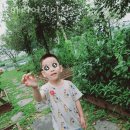 꽃마리어린이집 | 안중어린이집 꽃마리어린이집 후기