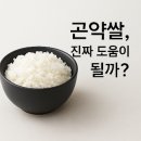 쌀 이미지