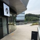 고양이병원 소설 이미지