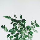 찬팩토리 이미지