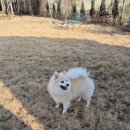 스테이제부 26-1 이미지