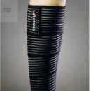다인스포츠