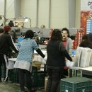 신북농협 산지유통센터 이미지