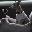 인창2로 이미지