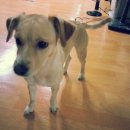 다사랑동물병원 이미지