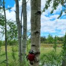 가원습지생태자연공원 이미지