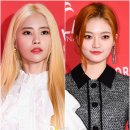 컬러풀헤어 이미지