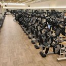 월드휘트니스 이미지