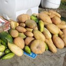 람세스한우농장 이미지