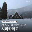 새론커피숍낭만다방 | 시라카와고 겨울 여행 필수 체크! 눈 오는 날 옷차림·방문 시간·동선 정리 (인생 푸딩 후기)