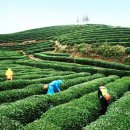 (주)티그린 이미지