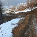 방글농장 이미지