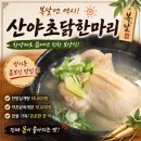 산야초 | 방이동 몸보신 맛집 추천｜산야초닭한마리 내돈내산 후기, 복날엔 여기!