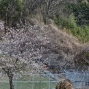 웅동마을 이미지