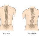 영남대학교의과대학부속영천병원 네이버블로그