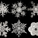 [기후와 날씨] 눈송이는 얼음인데 왜 하얗게 보일까? 이미지