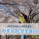 환호해맞이공원 | 포항 환호해맞이공원 벚꽃만개 포토존 꿀팁