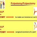 메이 동물병원 이미지