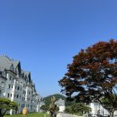 소노펠리체 빌리지 E~H 비발디파크 | 홍천 소노펠리체 비발디파크 실버스위트 후기 소노빌리지 인피니티풀