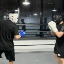 동탄센트럴복싱짐 | 동탄 다이어트 복싱 찾는다면? 동탄센트럴복싱짐 후기
