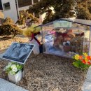 하늘소풍 이미지