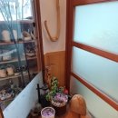 모이세 칼국수 이미지