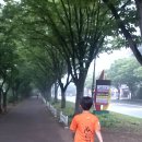 트라이경주 이미지