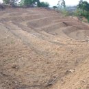 환영2농장 이미지