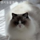 벤지동물병원 이미지