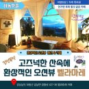 벨라마레 이미지