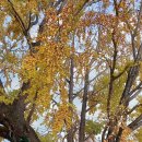 금산재래시장1 이미지