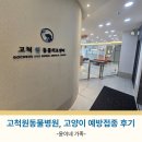 으뜸원동물병원 | 고척원동물병원 루루의 고양이 접종 비용 및 첫 방문 후기