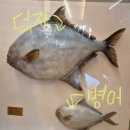 UR(목포시)-[옥암로]-상-4 | [전남-목포] 병어찜과 회의 끝판왕 - 별스넥
