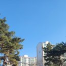 송우리 태봉 이미지