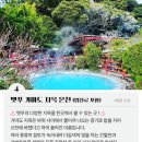빅조이글로벌 | 2026 후쿠오카 버스투어 추천 라쿠투어 히타 유후인 코스 및 이심 꿀팁