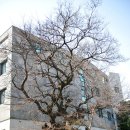 이중섭미술관 이미지