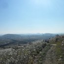 장원사슴목장 이미지