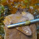 우거지 품은 순대국 이미지