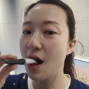네이처플럽 이미지