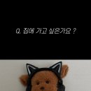 7493 | 술냄새 나는 갈마동 초초 &amp; 하이어 후기