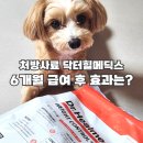 닥터김 동물병원 | 닥터힐메딕스 WC 사료 웨이트컨트롤 6개월 급여 후 알러지 몸무게 변화
