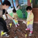 센트럴 곤충생태농장 이미지