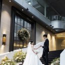 화이트포토그래피 이미지