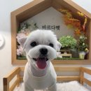 바르다펫 꿈의숲점 이미지