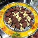 장수갈매기 이미지