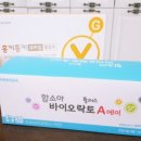 홍키통키 이미지