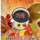 로미지안 치유의 숲 이미지