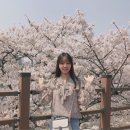 꽃보라화원 이미지
